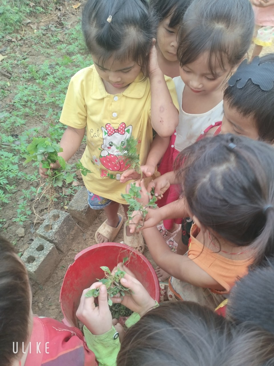 Trẻ tham gia nhổ cỏ vườn hoa